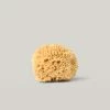 WELL KEPT SEA SPONGE